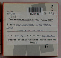 Image Associated With the Occurence
